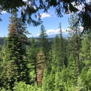 Meet your Posher, Thomas